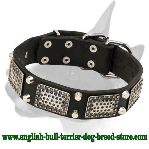 Leather Bull Terrier Collar with Nickel Studs and Vintage Plates
