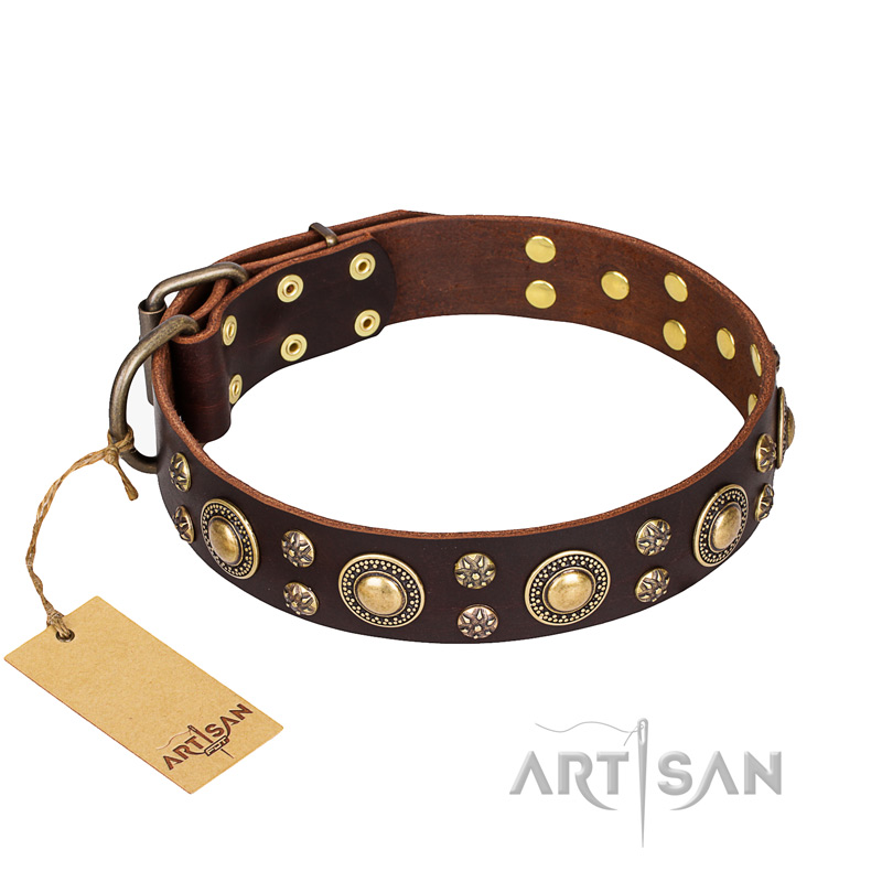'Flower Melody' FDT Artisan Brown Leather Bull Terrier Dog Collar with Mixed Studs