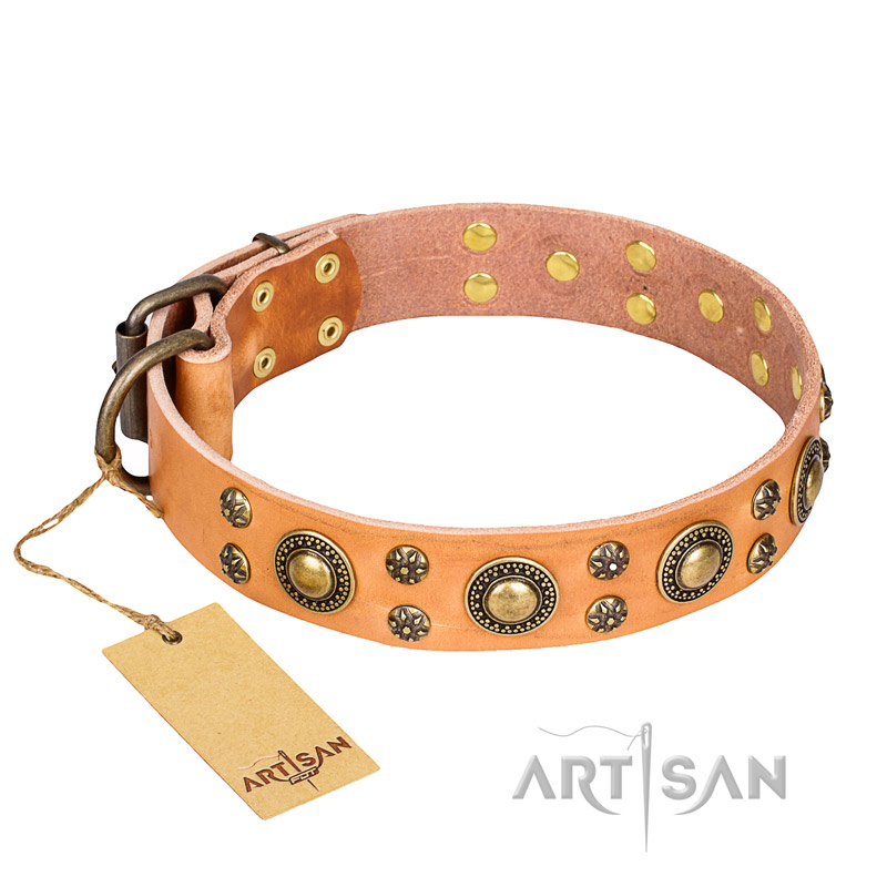 'Sophisticated Glamor' FDT Artisan Bull Terrier Tan Leather Dog Collar with Fancy Old-Bronze Plated Decorations