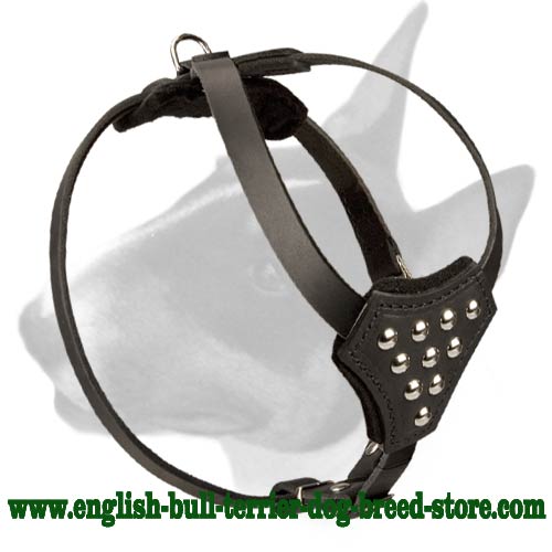 English Bull Terrier High Quality Leather Dog Harness for Puppies