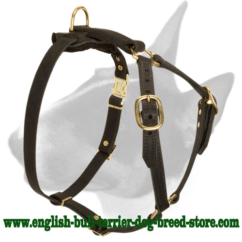 Adjustable Tracking Leather Bull Terrier Harness