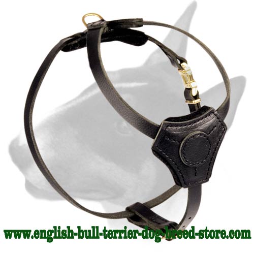 Adjustable Leather Bull Terrier Harness for Training Puppies