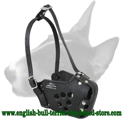 English Bull Terrier Military Leather Dog Muzzle