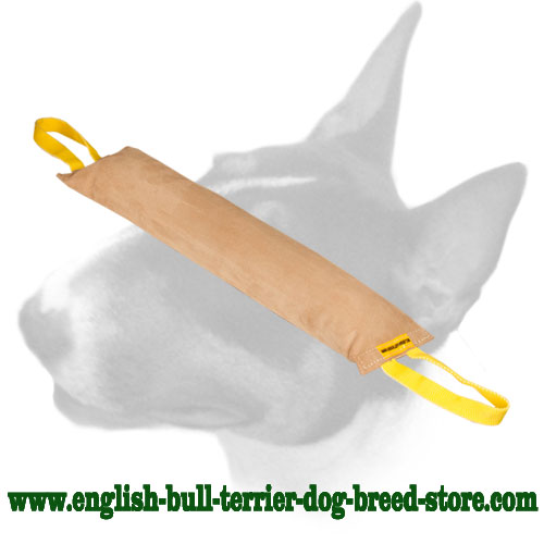 English Bull Terrier Huge Leather Bite Tug with Handles for Pro Training