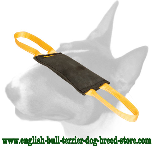 'Firm Bite' Leather Bite Tug for Training English Bull Terrier