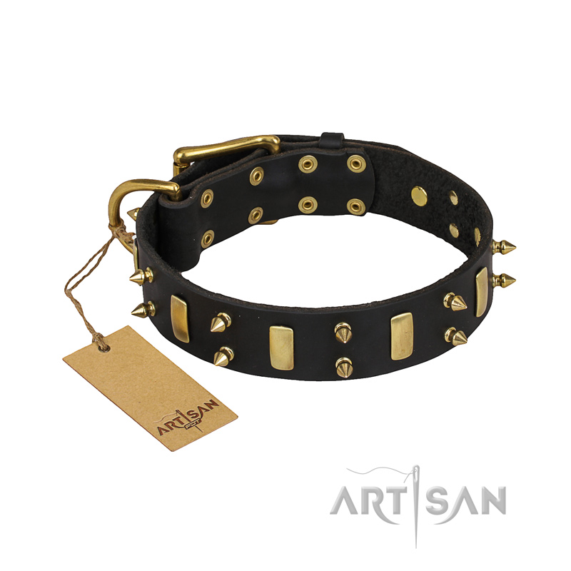 "Medieval Style" FDT Artisan Leather Collar with Brass Plates and Spikes for English Bull Terrier