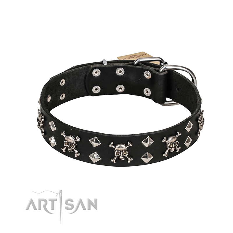FDT Artisan 'Rock 'n' Roll Style' Leather English Bull Terrier Collar with Skulls, Bones and Studs 1 1/2 inch (40 mm) wide