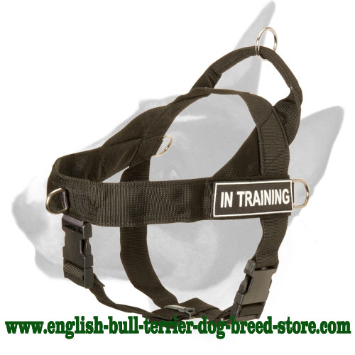 Lightweight Nylon Bull Terrier Harness for Training