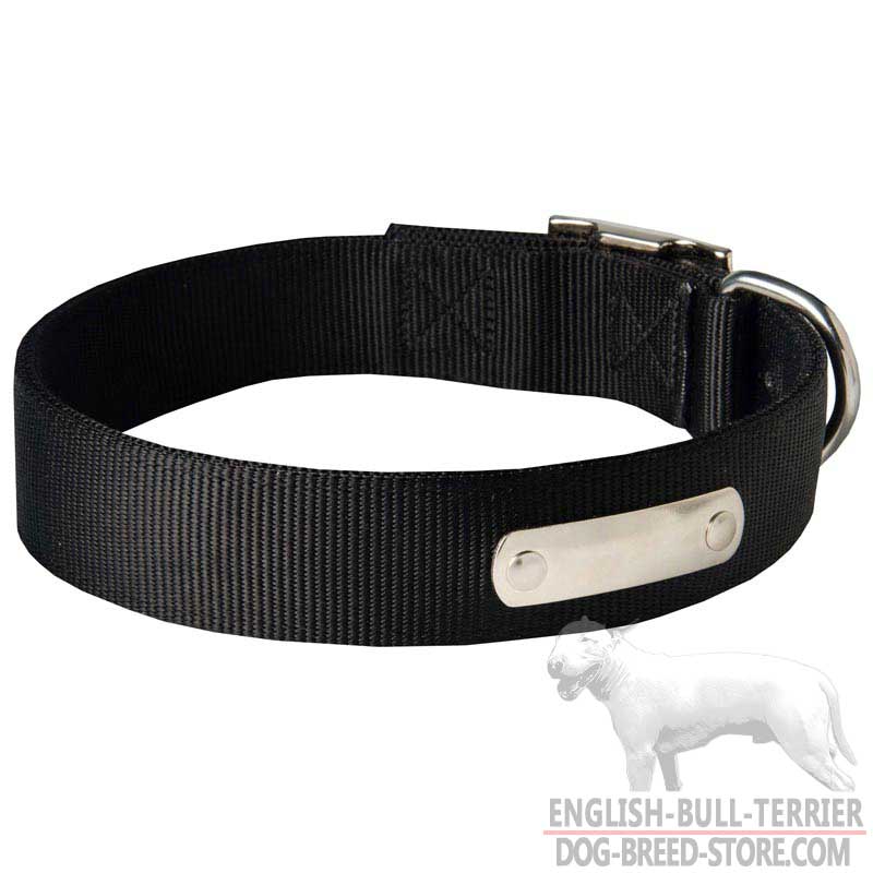 Nylon Bull Terrier Collar with Name Tag
