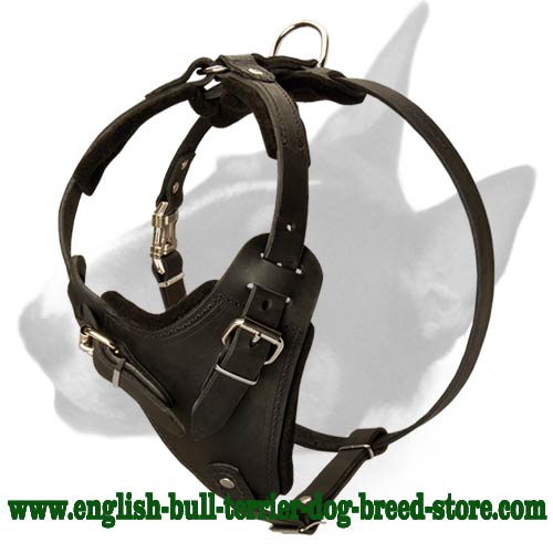 Best Adjustable Leather Bull Terrier Harness for Attack Work - Click Image to Close