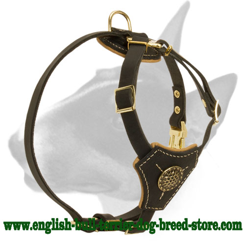 Royal Lightweight Leather Bull Terrier Harness for Walking Puppies
