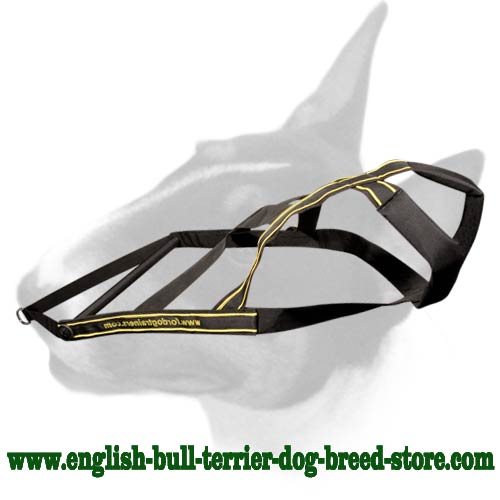Special Nylon Bull Terrier Harness for Skijoring and Sledding