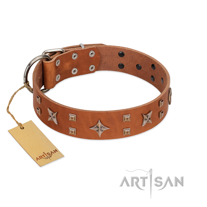"Dreamy Gleam" FDT Artisan Tan Leather English Bull Terrier Collar Adorned with Stars and Squares