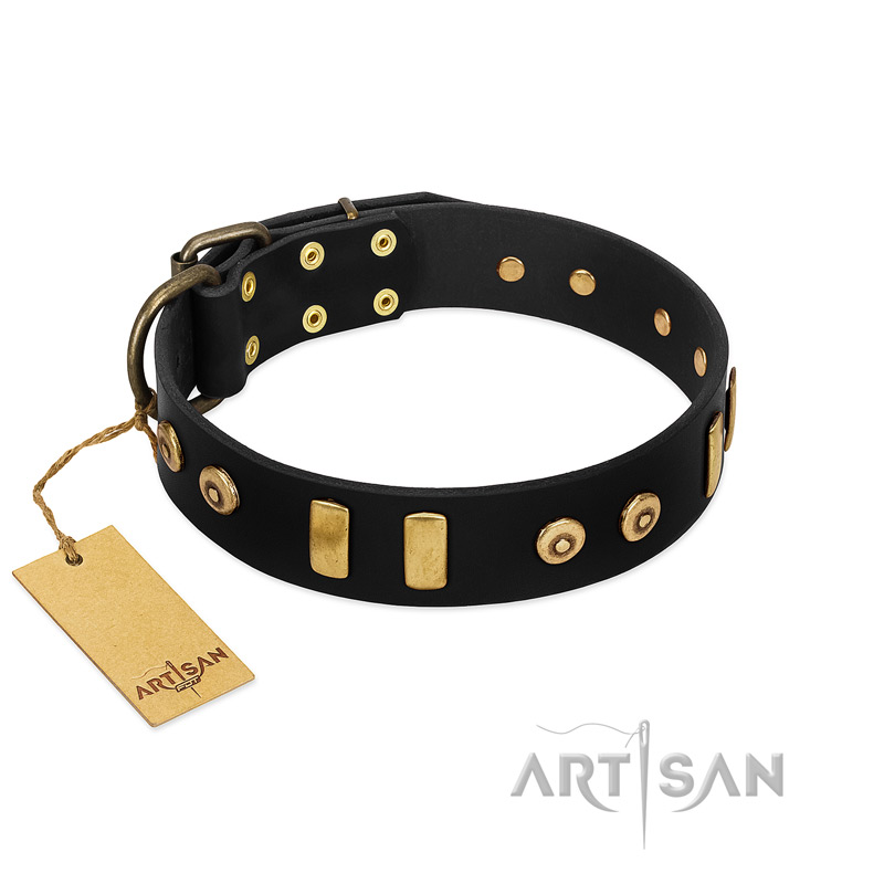 "Rare Dog" FDT Artisan Black Leather English Bull Terrier Collar with Old Bronze-like Dotted Studs and Tiles