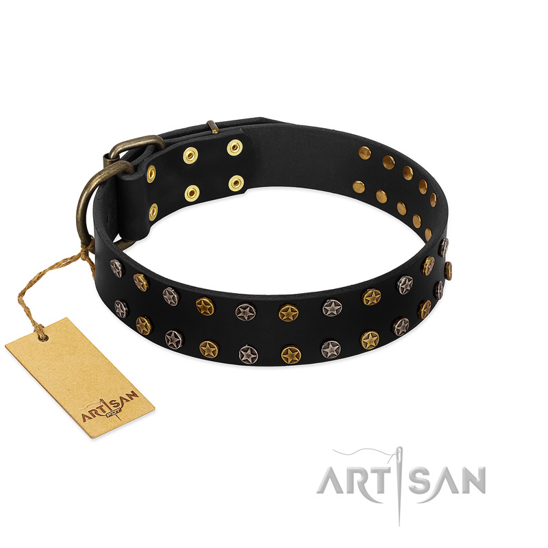 "Star Way" FDT Artisan Black Leather English Bull Terrier Collar with Bronze-like and Silver-like Star Studs