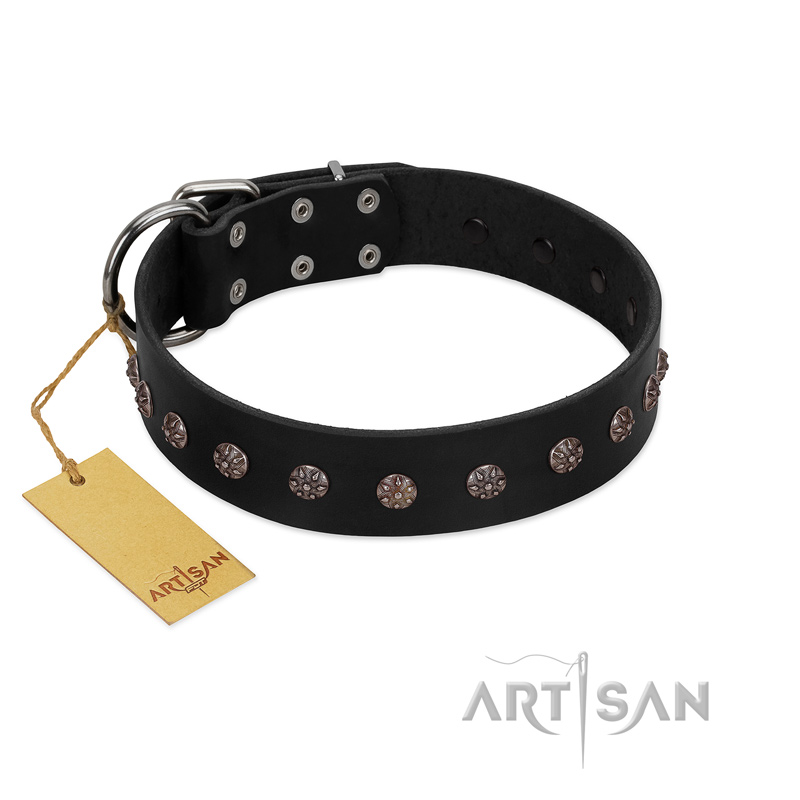 "Flower Rhapsody" FDT Artisan Premium Quaulity Black Leather English Bull Terrier Collar