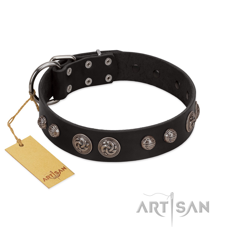 "Tricky Ricky" FDT Artisan Black Leather English Bull Terrier Collar Adorned with Silver-Like Conchos