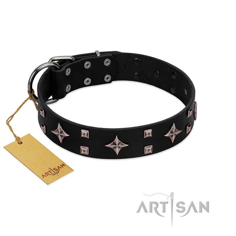 "Snappy Dresser" FDT Artisan Black Leather English Bull Terrier Collar Adorned with Stars and Tiny Squares - Click Image to Close