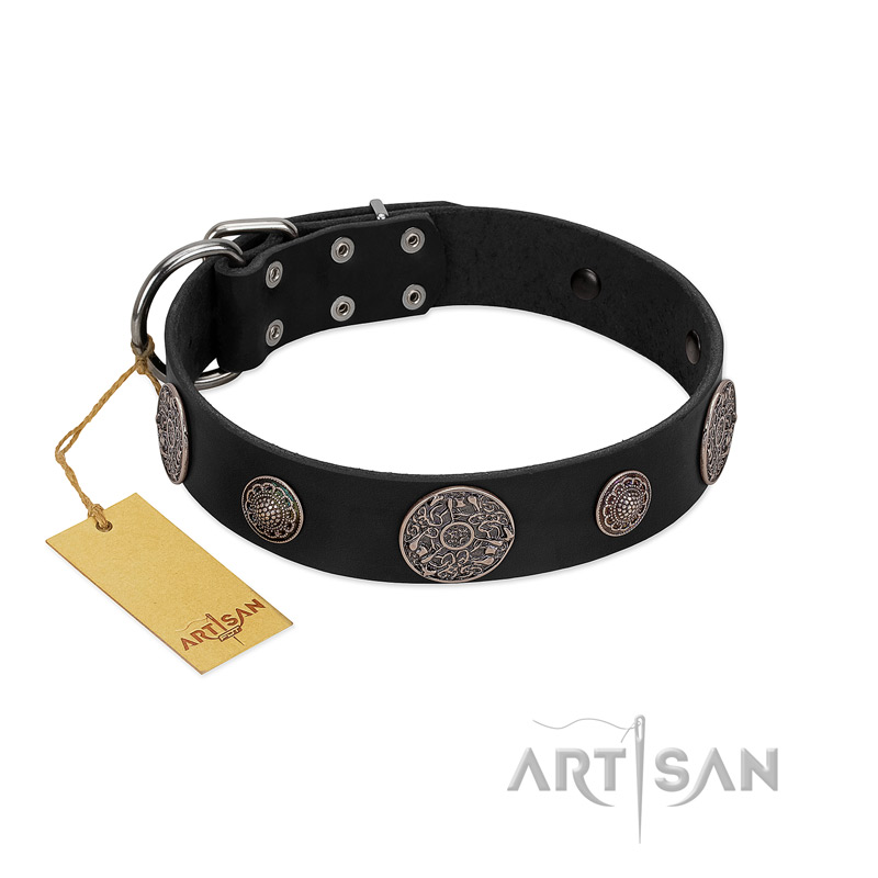 "Ad Infinitum" Durable FDT Artisan Black Leather English Bull Terrier Collar with Chrome Plated Brooches