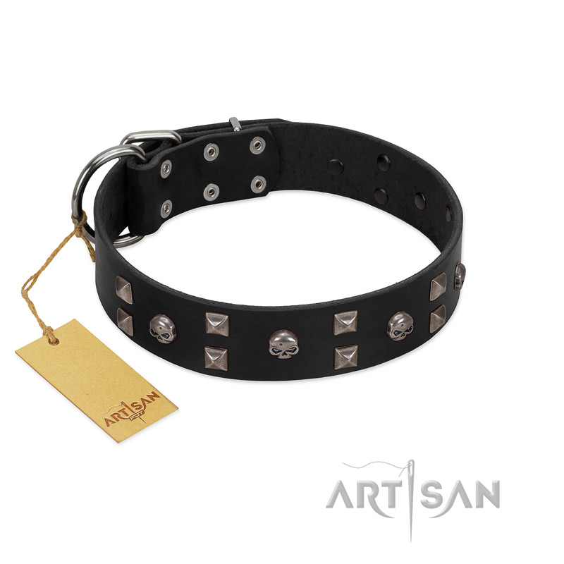 "Fire Eyes" Designer Handmade FDT Artisan Black Leather English Bull Terrier Collar