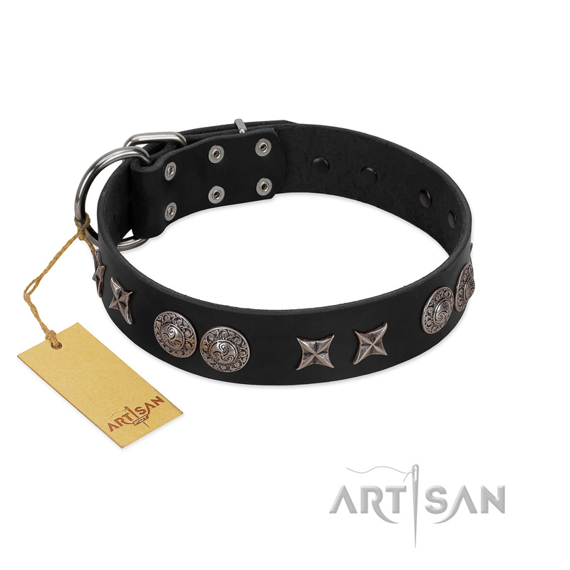 "Scythian Silver" Stylish Handmade FDT Artisan Black Leather English Bull Terrier Collar