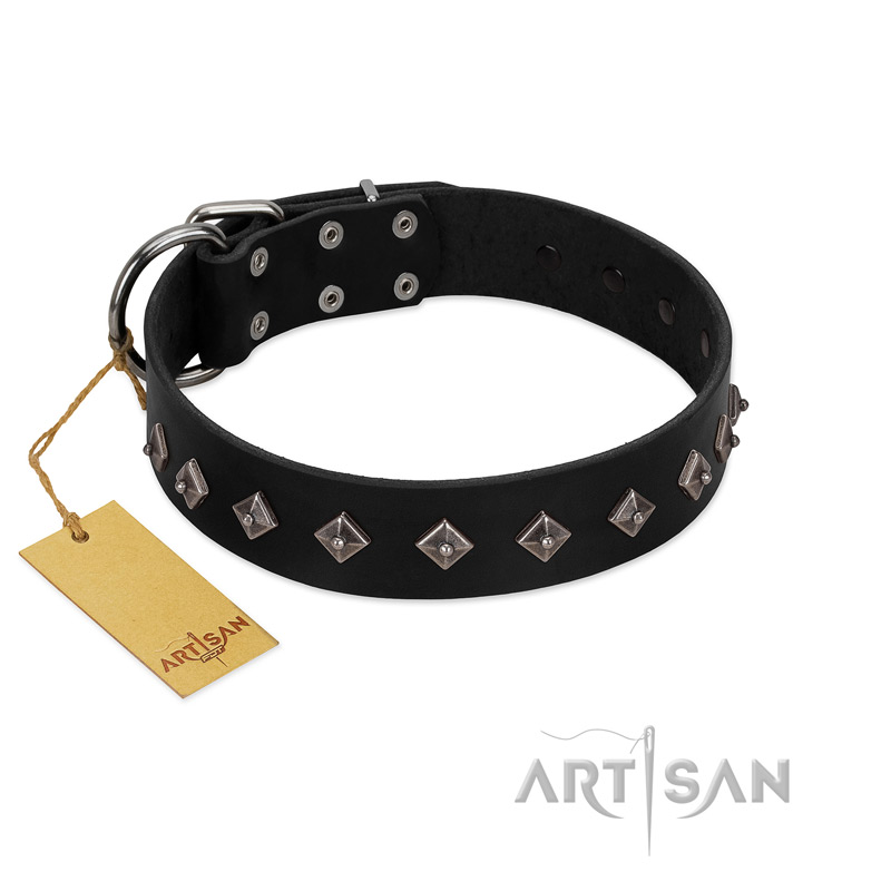 "Immense Power" Handcrafted FDT Artisan Black Leather English Bull Terrier Collar with Small Dotted Pyramids