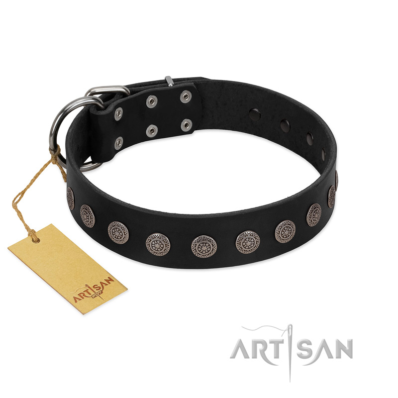 "Silent Star" Handmade FDT Artisan Designer Black Leather English Bull Terrier Collar with Engraved Plates