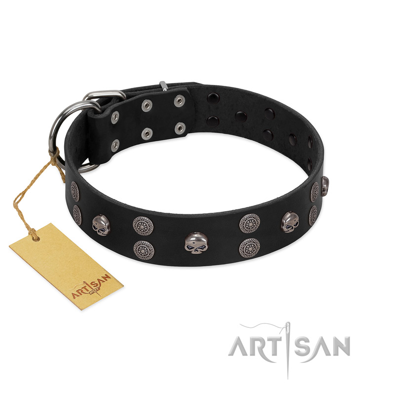 "Skull Art" Designer Handmade FDT Artisan Black Leather English Bull Terrier Collar with Skulls