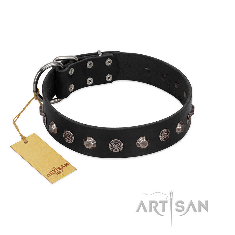 "Black Knight" Handmade FDT Artisan Black Leather English Bull Terrier Collar with Silver-Like Studs