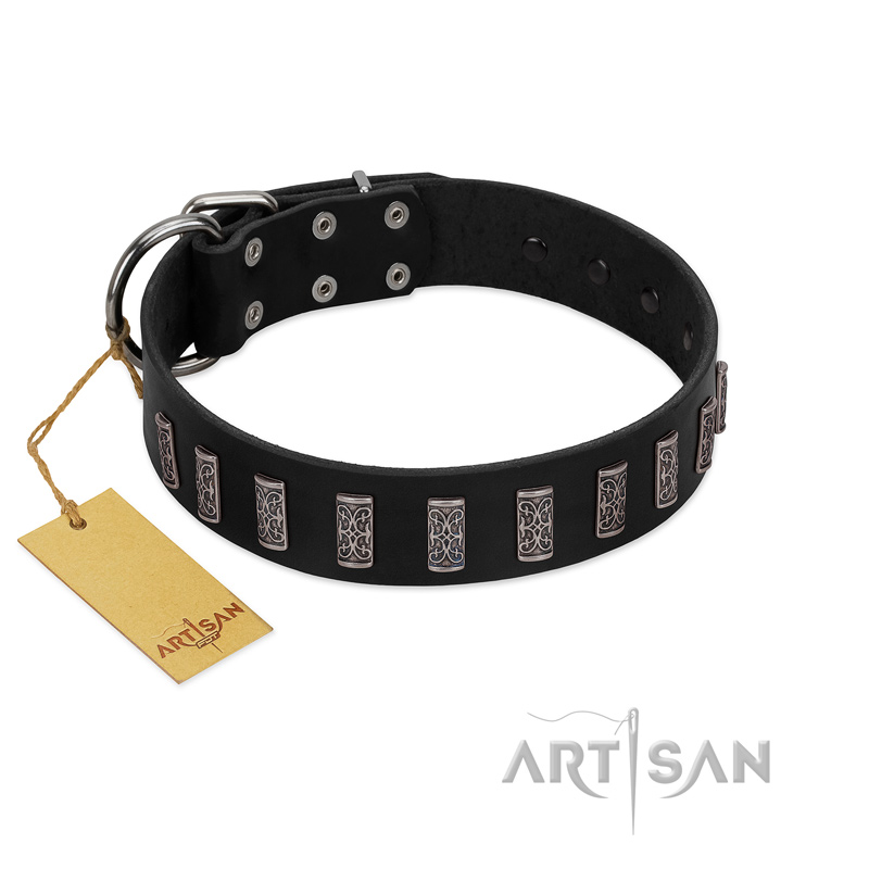 "Black Prince" Handmade FDT Artisan Black Leather English Bull Terrier Collar with Silver-Like Adornments