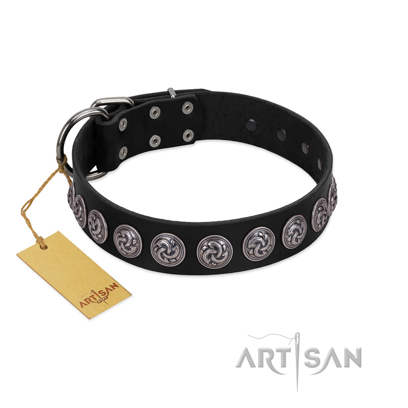 "Black Raven" Handmade FDT Artisan Black Leather English Bull Terrier Collar with Silver-Like Adornments