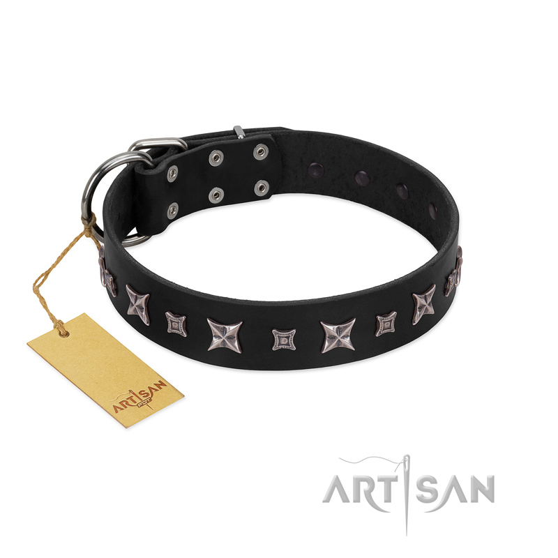 "Polar Lights" Designer FDT Artisan Black Leather English Bull Terrier Collar with Silver-Like Studs