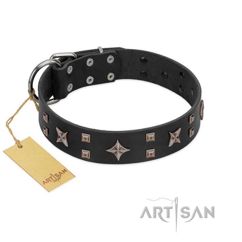 "Star Excitement" Modern FDT Artisan Black Leather English Bull Terrier Collar with Studs and Stars