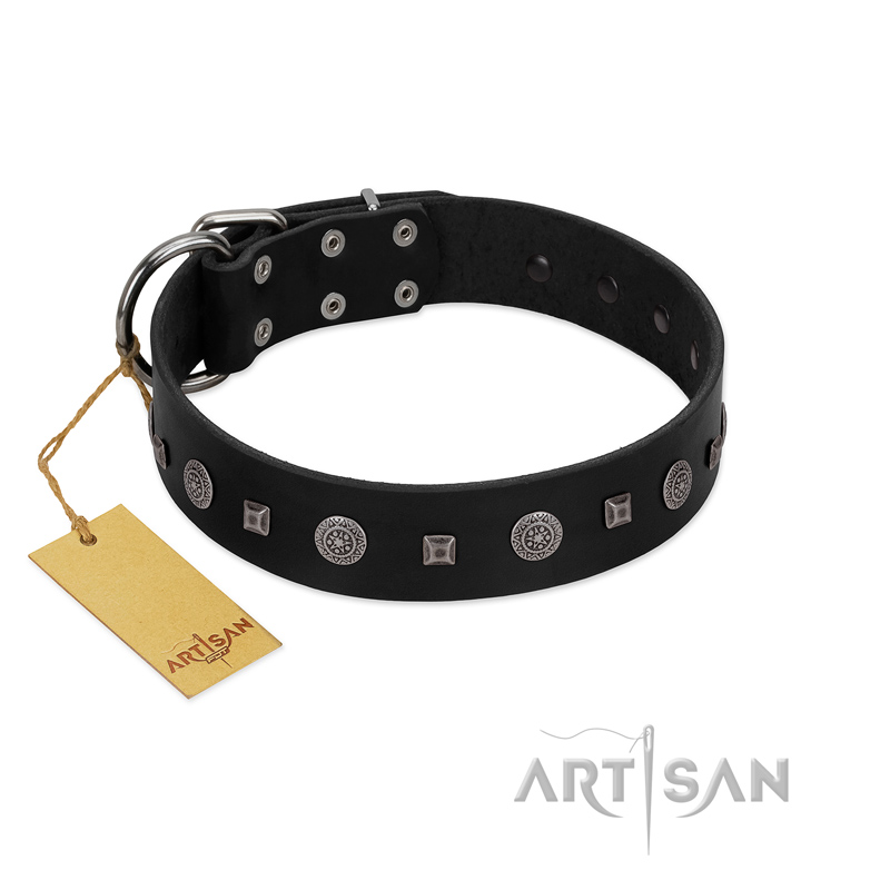 "Mr. Elegance" Designer FDT Artisan Black Leather English Bull Terrier Collar with Silver-Like Studs - Click Image to Close