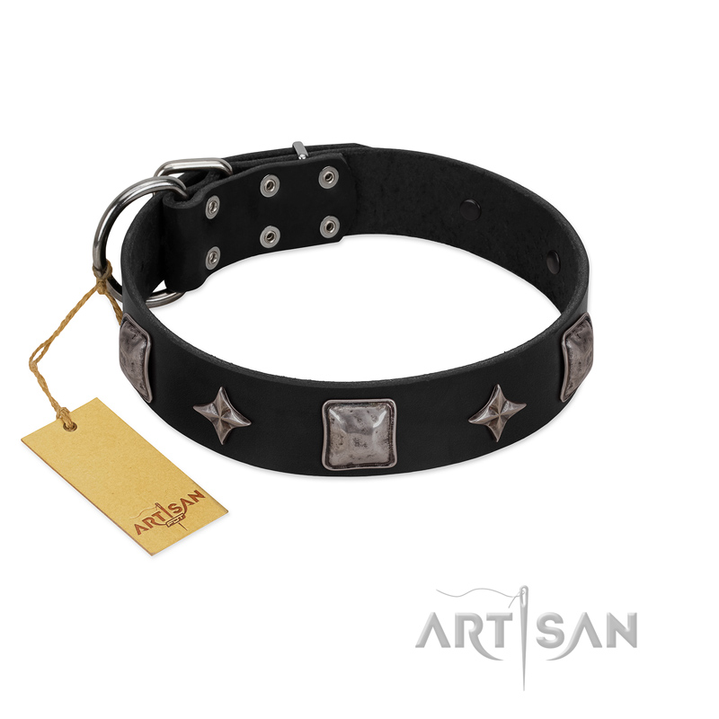 "Black Cavalier" Handmade FDT Artisan Black Leather English Bull Terrier Collar with Silver-Like Stars and Large Plates