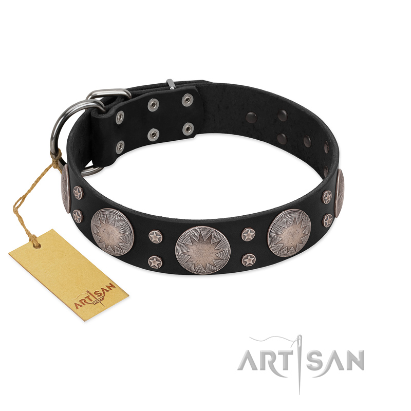 "Starry Sky" Trendy FDT Artisan Black Leather English Bull Terrier Collar with Large Brooches