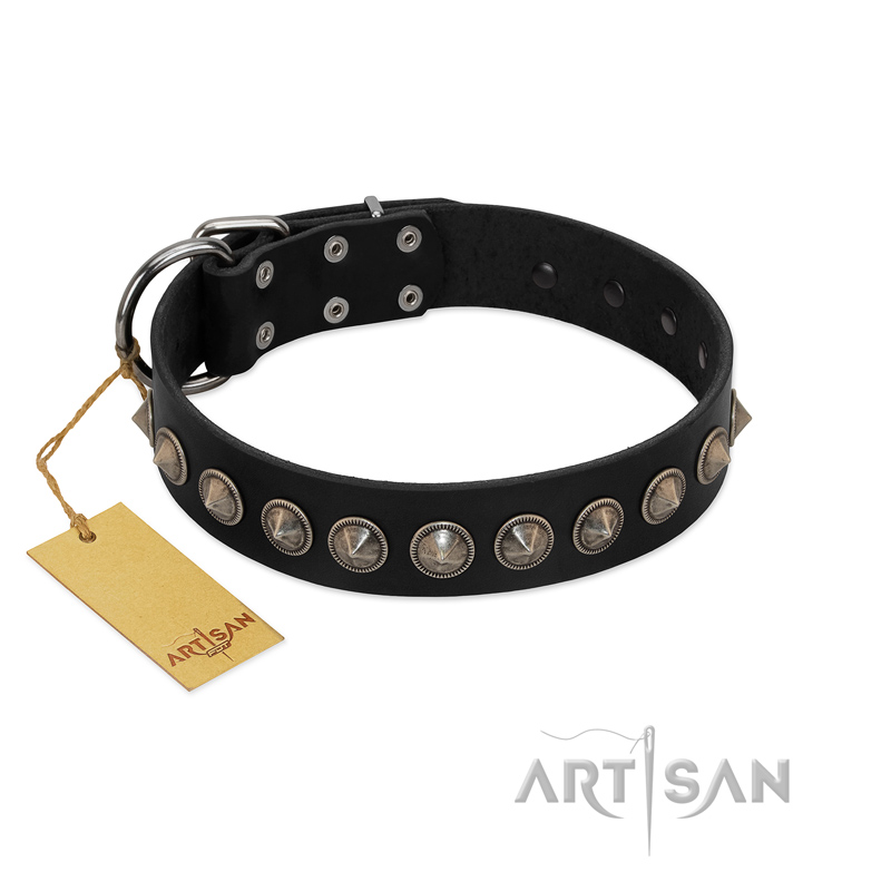 "Black Eagle" Handcrafted FDT Artisan Black Leather English Bull Terrier Collar with Silver-Like Adornments