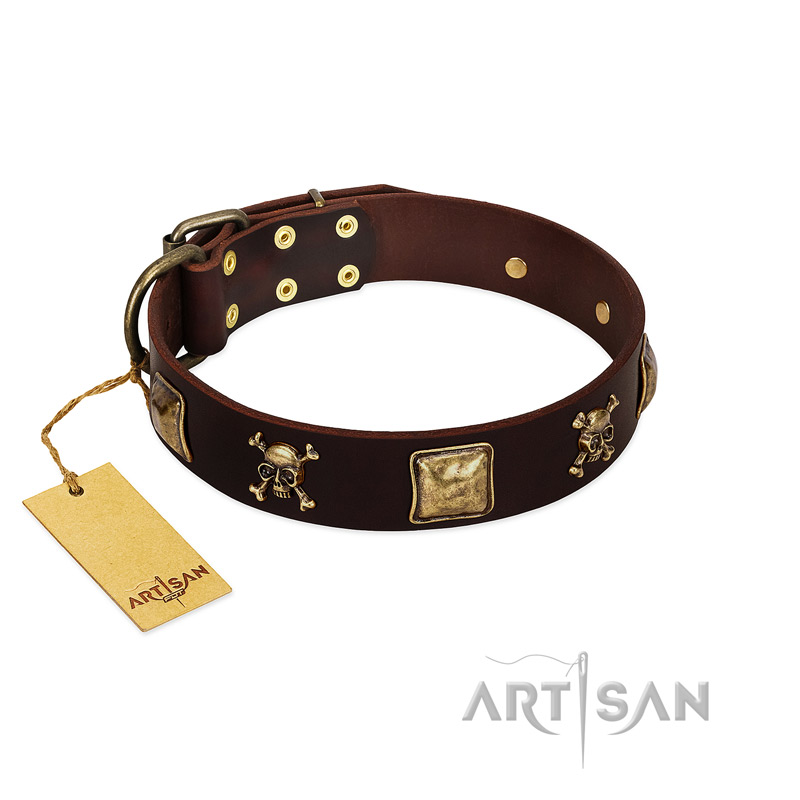 "Crazy Pirate" FDT Artisan Brown Leather English Bull Terrier Collar with Old Bronze-Plated Skulls and Plates