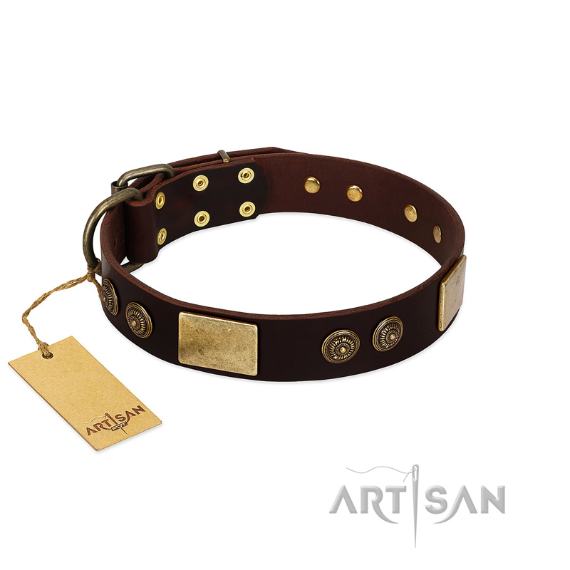 "Bow-Wow Effect" FDT Artisan Brown Leather English Bull Terrier Collar with Plates and Ornate Studs