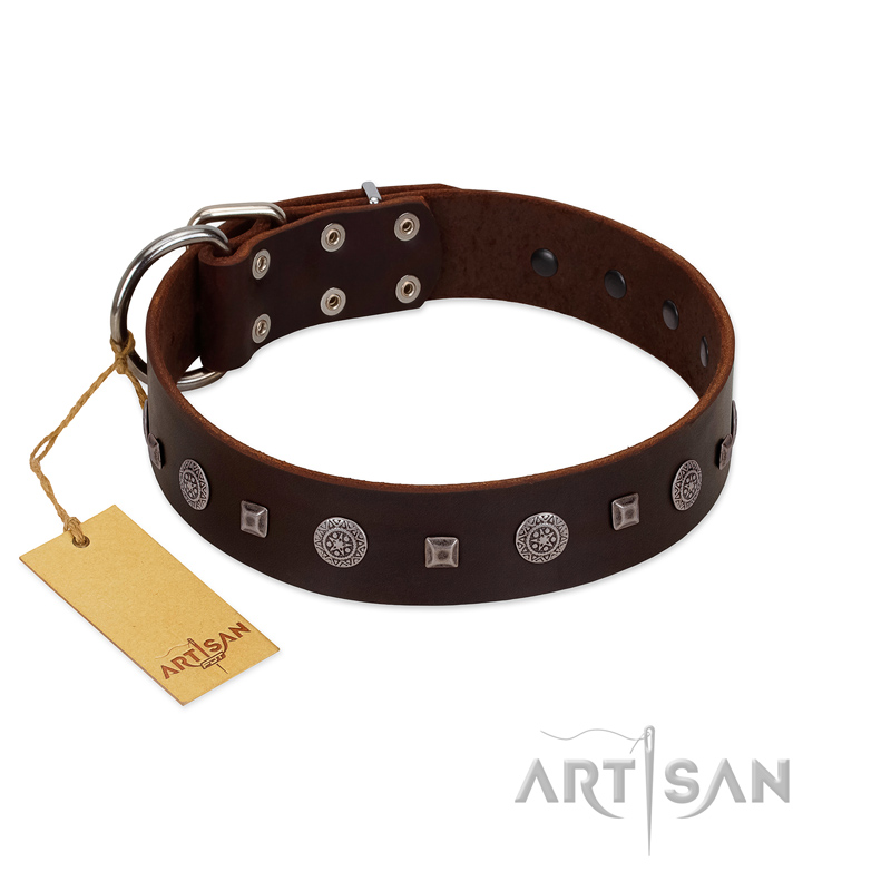 "Pure Sensation" Exclusive FDT Artisan Brown Leather English Bull Terrier Collar with Fancy Brooches and Studs - Click Image to Close
