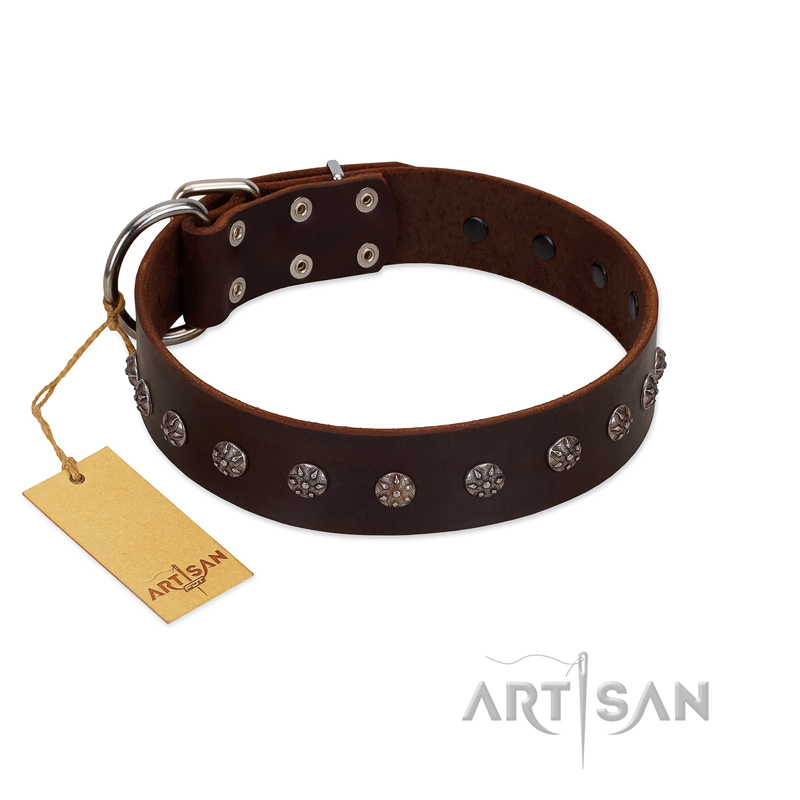 "Graceful Classic" Mod FDT Artisan Brown Leather English Bull Terrier Collar