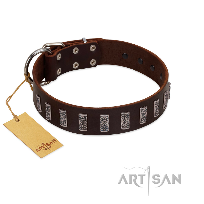 "Brown Lace" Handmade FDT Artisan Brown Leather English Bull Terrier Collar for Everyday Walks