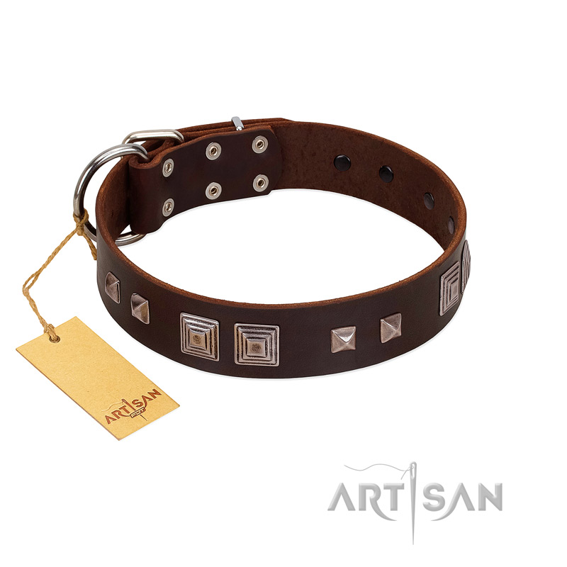 "Object of Virtu" FDT Artisan Brown Leather English Bull Terrier Collar with Old Silver-like Square Studs and Pyramids