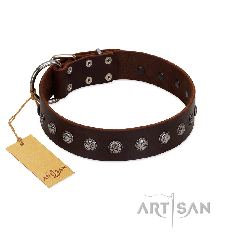 "Spring Flower" Stylish FDT Artisan Brown Leather English Bull Terrier Collar for Comfy Walks