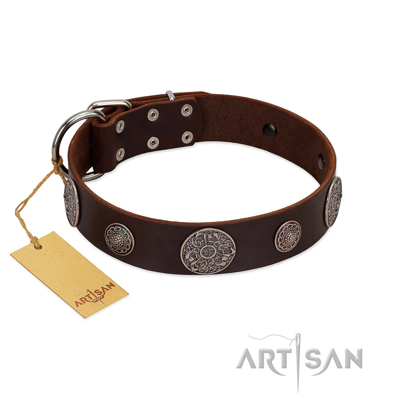 "Flashy Woof" FDT Artisan Brown Leather English Bull Terrier Collar with Chrome Plated Brooches