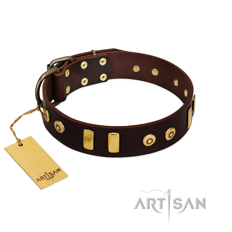 "Lord of Dogs" FDT Artisan Brown Leather English Bull Terrier Collar with Old Bronze-like Dotted Studs and Tiles