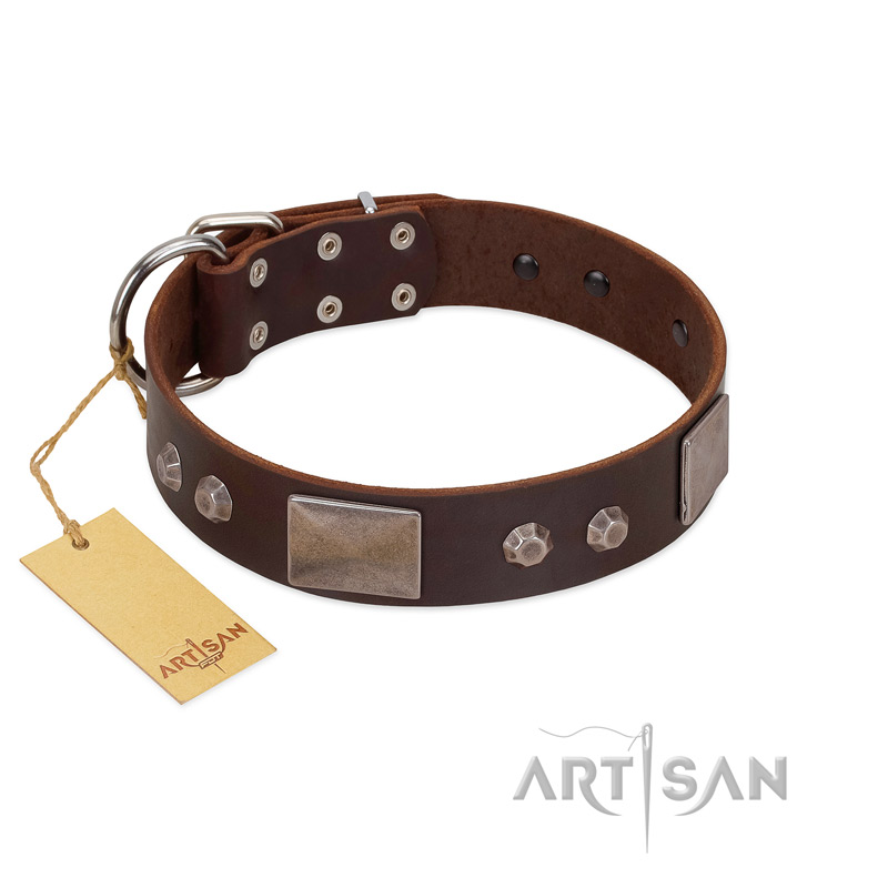 "Stone Stars" Stylish Handmade FDT Artisan Brown Leather English Bull Terrier Collar