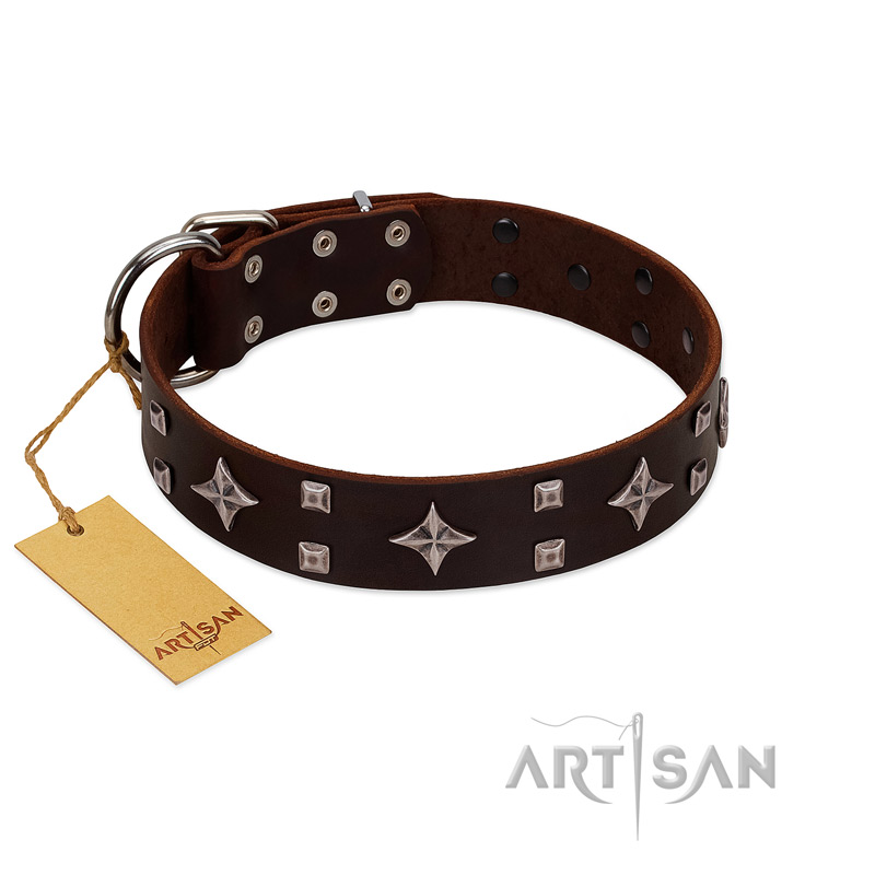 "Trendy Candy" FDT Artisan Brown Leather English Bull Terrier Collar Adorned with Stars and Tiny Squares