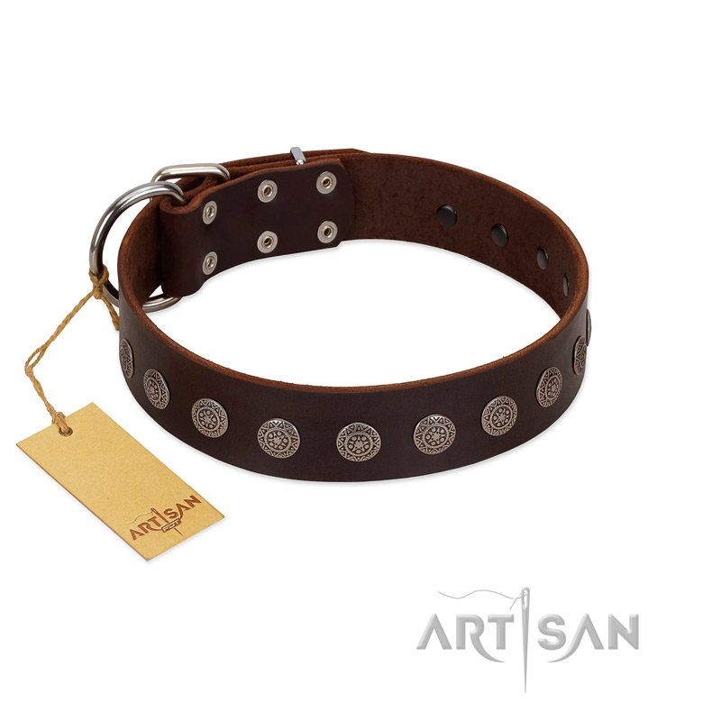 "Starry-Eyed" Best Quality FDT Artisan Brown Designer Leather English Bull Terrier Collar with Small Plates