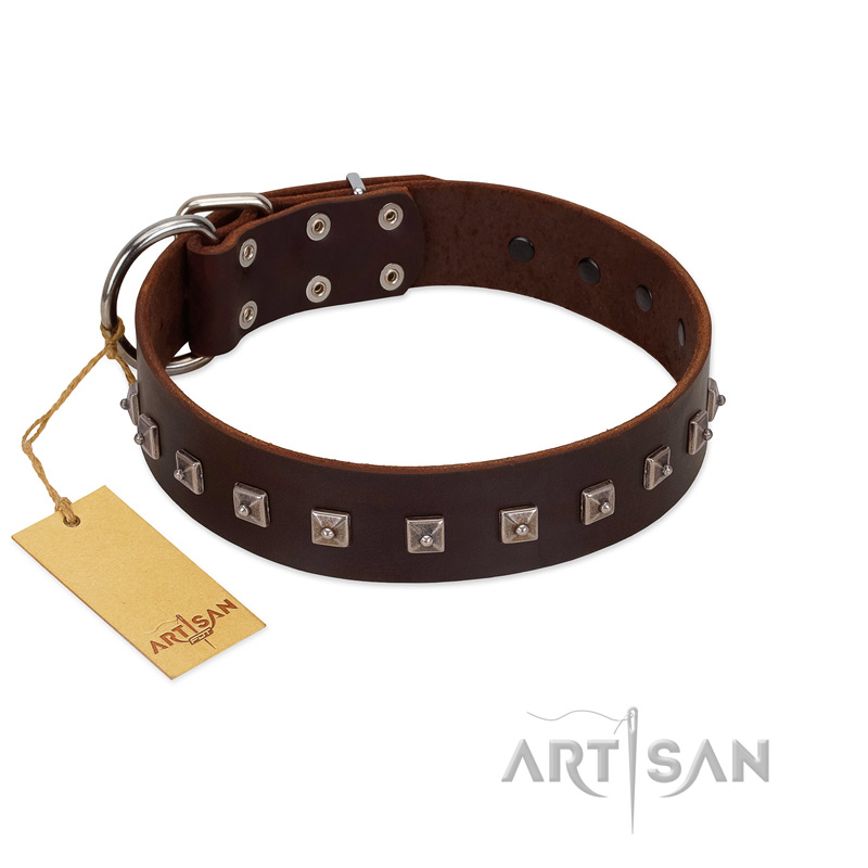 "Kingly Grace" FDT Artisan Brown Leather English Bull Terrier Collar with Silver-like Dotted Studs